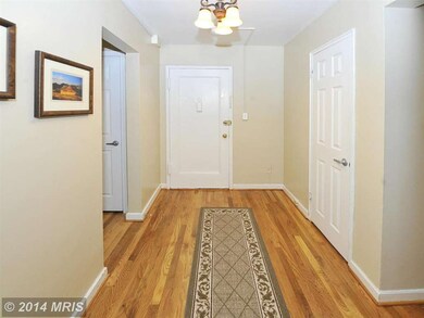 2217 Washington Ave unit 104, Silver Spring, MD 20910 - photo 3