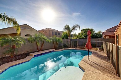 Fenced pool with baby ledge