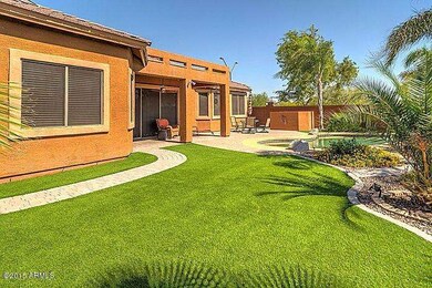 backyard2_700