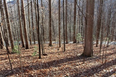 00 W Old Murphy Rd, Franklin, NC 28734 - photo 7