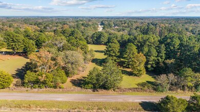 TBD County Road 2174 Lot 4, Whitehouse, TX 75791 - photo 5