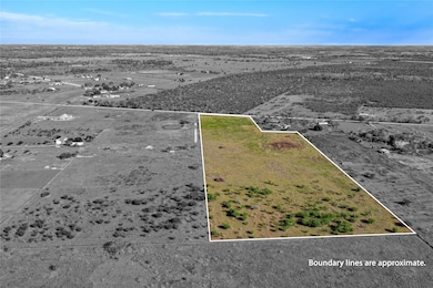 Tract 2 Tbd Jackson Rd, Bellville, TX 77418 - photo 2