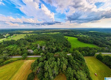 0 County Road 32 unit 21428567, Double Springs, AL 35553 - photo 4