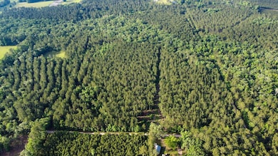 Blue Sparks SC Land for Sale-03