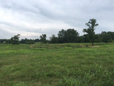 7.7 AC Eckles Cemetery Rd, Livingston, TN 38570 - photo 6