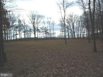 0 Ponds Ct unit 1003285654, Berkeley Springs, WV 25411 - photo 5