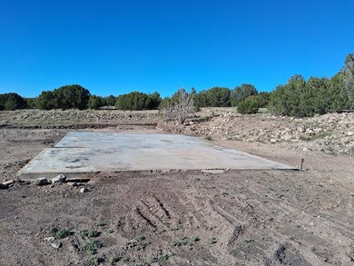 86 County Road 8227, Concho, AZ 85924 - photo 4