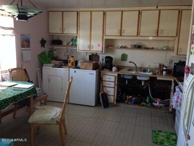 photo 1 (1)