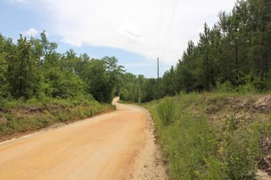 00 Stacey Bridge Rd, Orangeburg, SC 29118 - photo 6