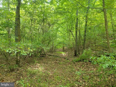Lot 8 Jermikey Ct, Hedgesville, WV 25427 - photo 7