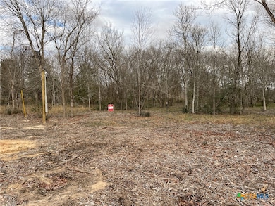 1310 Cypress Trail Loop, Rockdale, TX 76567 - photo 3