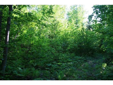 Land/Lot.