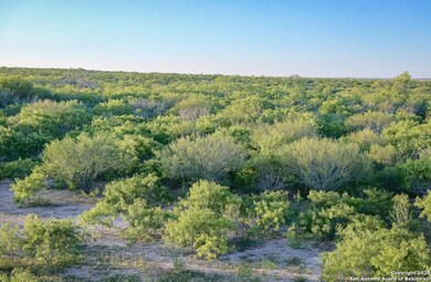 000 County Line Rd # 120, Beeville, TX 78102 - photo 4