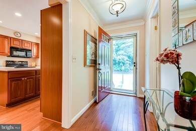 9003 Daum Ct, Springfield, VA 22153 - photo 7