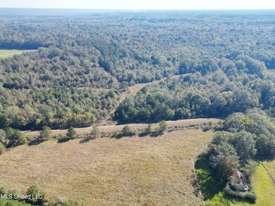 1844 Swamp Rd, Carthage, MS 39051 - photo 6