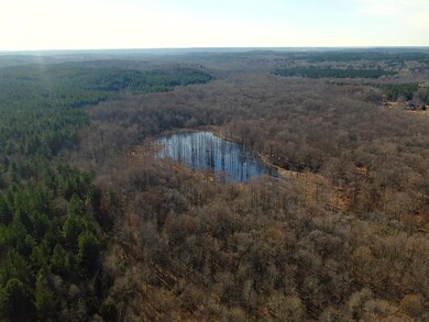 0 Cr 437 unit 24-2709, Ashland, MS 38603 - photo 6