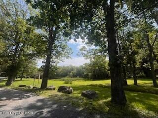 30195_Image_3