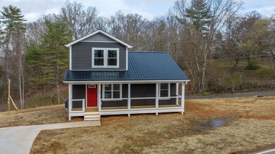 1185 Bear Creek Rd, Leicester, NC 28748 - photo 3