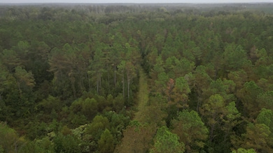 0 Maben-Bell Schoolhouse Rd, Maben, MS 39759 - photo 3