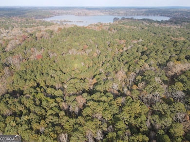 0 Oconee Rd Lot 4, Buckhead, GA 30625 - photo 5