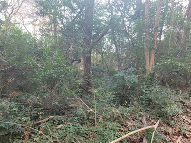 0 S Vine unit 29342199, Tyler, TX 75701 - photo 4