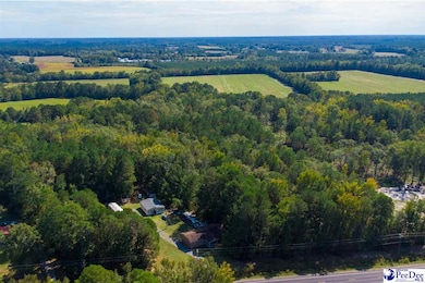 TBD Lamar Hwy, Darlington, SC 29532 - photo 3