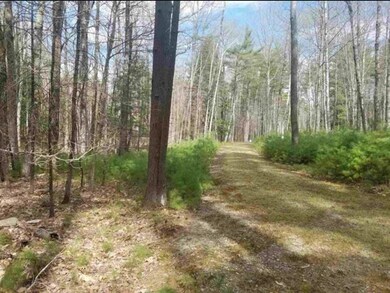 21B Lovejoy Sands Rd, Meredith, NH 03253 - photo 5