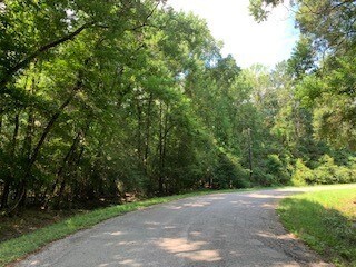 Lots 35-43 Seminole at Apache Trail, Magnolia, TX 77354 - photo 6