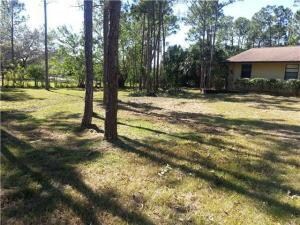 front yard