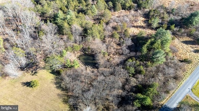0 Dellinger Gap Rd unit VASH2013052, Edinburg, VA 22824 - photo 6