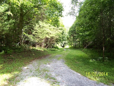 zipdrivephotos 059