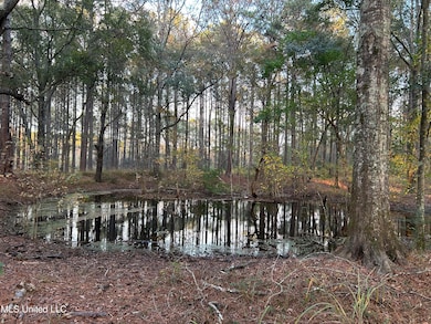 4024 Old Mill Rd, Osyka, MS 39657 - photo 6