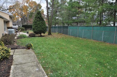 Fenced backyard lined with pine trees!