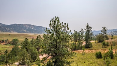 TBD Stardust Pass unit Lot 5, Hot Springs, SD 57747 - photo 7