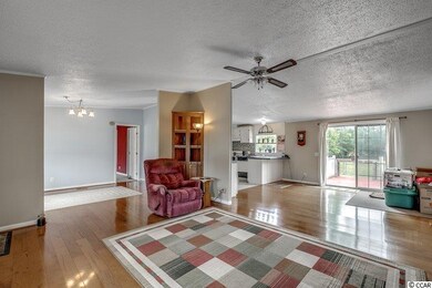 808 McNabb Short Cut Rd, Loris, SC 29569 - photo 2