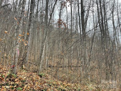 805 Sparkling Falls Rd, Whittier, NC 28789 - photo 3