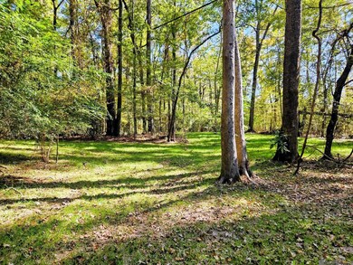 TBD Tunica Trace, Saint Francisville, LA 70775 - photo 7