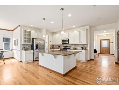 4021 Wild Elm Way, Fort Collins, CO 80528 - photo 2