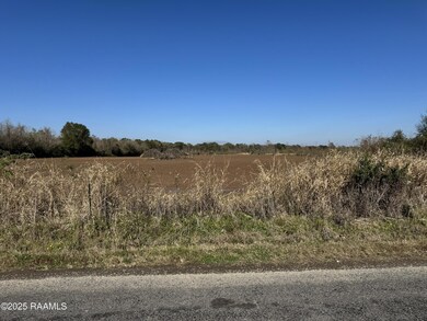 290 Cottage Ln, Church Point, LA 70525 - photo 5