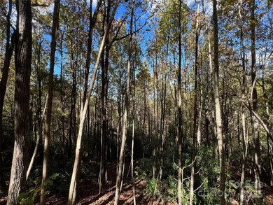 0 Wild Magnolia Way unit 46, Zirconia, NC 28790 - photo 5