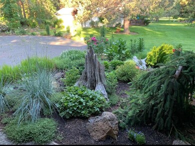 Summer Photo from Entryway