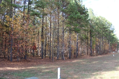 465 Compass Dr, Jasper, TN 37347 - photo 3