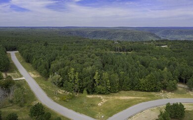 0 Bear Trace Dr unit RTC2722776, Jasper, TN 37347 - photo 2