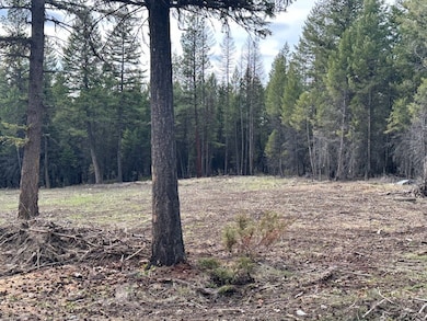 Lot 3 Aspen Glen Rd, Eureka, MT 59917 - photo 3