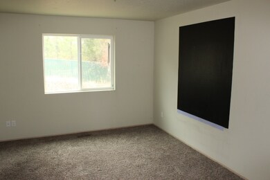 905 E Silver Pine Rd, Colbert, WA 99005 - photo 7