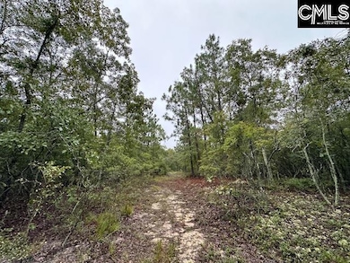 P/O 1375 Fallaw Rd, Gaston, SC 29053 - photo 4