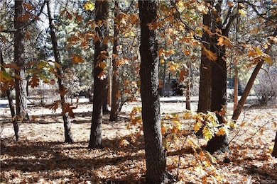 294 Pine Ln, Big Bear, CA 92314 - photo 5