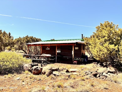 67 N 8167, Concho, AZ 85924 - photo 3