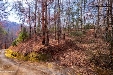 Lot 2 Tatem Marr Way, Sevierville, TN 37876 - photo 7