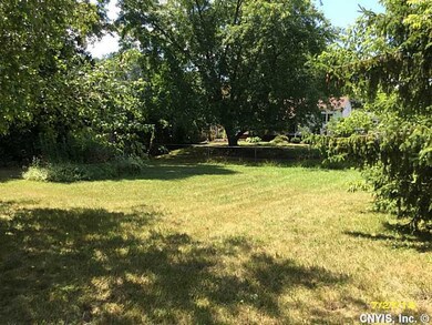 Backyard.